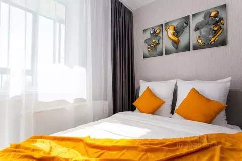 Студия Новосибирская область, Новосибирский район, Станционный ...