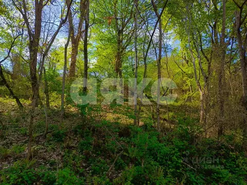 Участок в Краснодарский край, Сочи городской округ, с. Орел-Изумруд ...