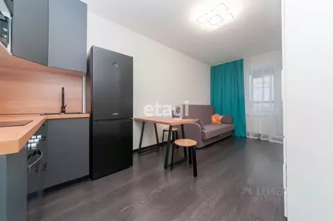 Студия Санкт-Петербург просп. Буденного, 23к1 (24.4 м)