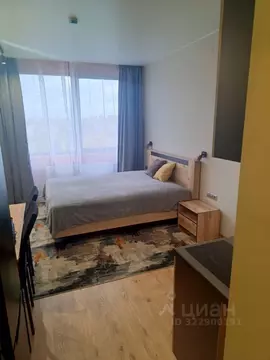 Студия Санкт-Петербург дор. На Турухтанные острова, 5к1 (22.5 м)