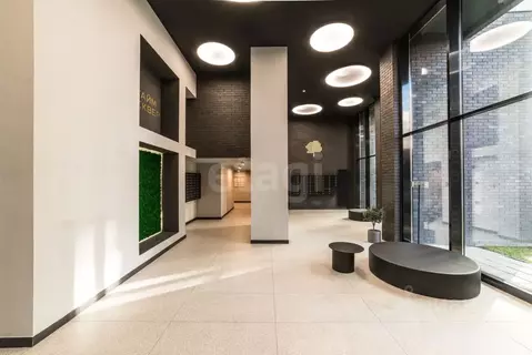 Студия Санкт-Петербург Планерная ул., 99 (31.0 м)