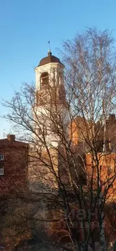 Студия Ленинградская область, Выборг ул. Сторожевой Башни, 9 (21.0 м)