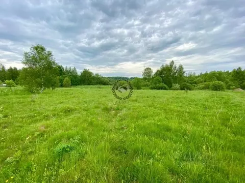 Участок в Калужская область, Кондрово Дзержинский район, ул. Стефанова ...