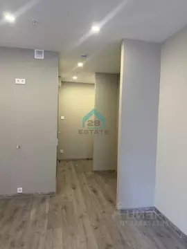 Студия Санкт-Петербург Витебский просп., 99к1 (24.3 м)