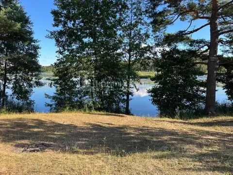 Участок в Владимирская область, Селивановский район, Волосатовское ...