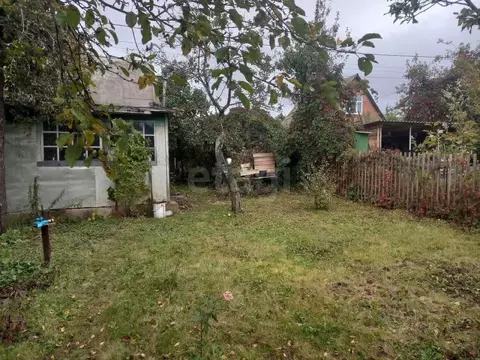 Участок в Воронежская область, Воронеж Строитель МВО СНТ, ул. Тихая ...