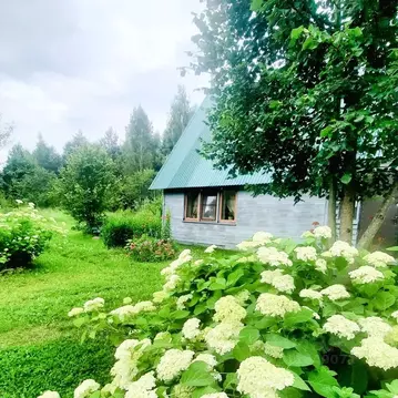 Дом в Калужская область, Дзержинский район, Сени с/пос, д. Миленки 10 ...