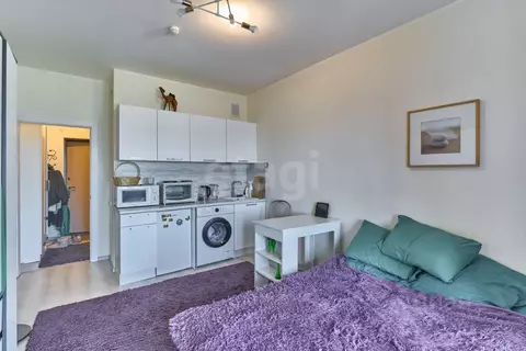 Студия Санкт-Петербург ул. Русановская, 20к1 (22.0 м)