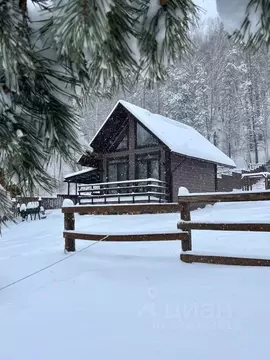 Дом в Алтай, Майминский район, Усть-Мунинское с/пос, пос. Известковый ...
