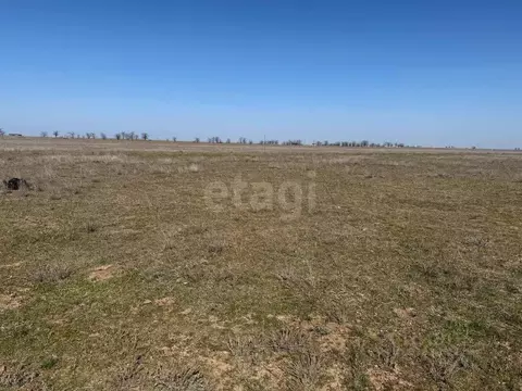 Участок в Крым, Сакский район, с. Штормовое  (8.0 сот.)