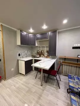 Студия Татарстан, Казань Агрызская ул., 80 (17.4 м)