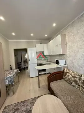 Студия Краснодарский край, Краснодар ул. Евгении Жигуленко, 13к2 (19.4 ...