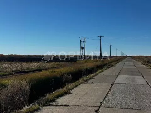 Участок в Тюменская область, Тюменский муниципальный округ, с. ...