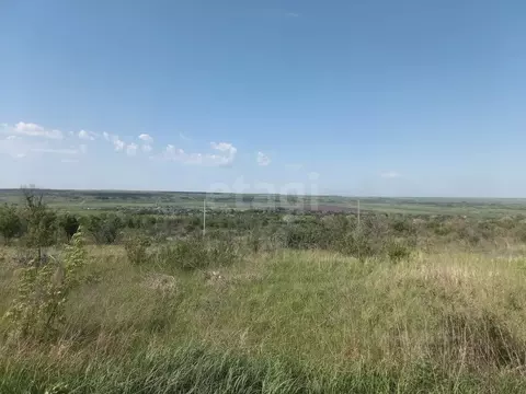 Участок в Ростовская область, Родионово-Несветайский район, ...