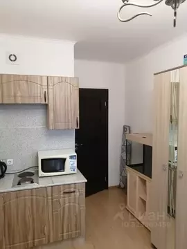 Студия Санкт-Петербург просп. Ветеранов, 169к3 (24.0 м)