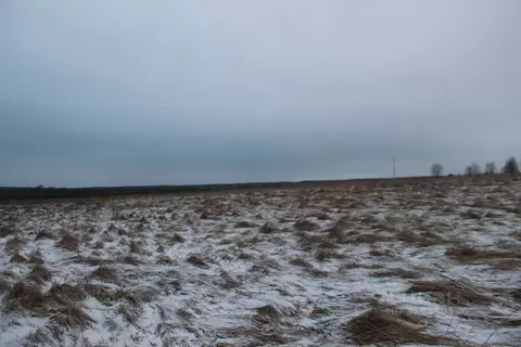 Участок в Московская область, Шаховская муниципальный округ, д. Дор  ...