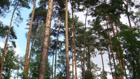 Участок в Московская область, Одинцовский городской округ, пос. ...