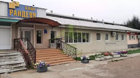 Помещение свободного назначения в Бурятия, Улан-Удэ ул. Жердева, 42 ...