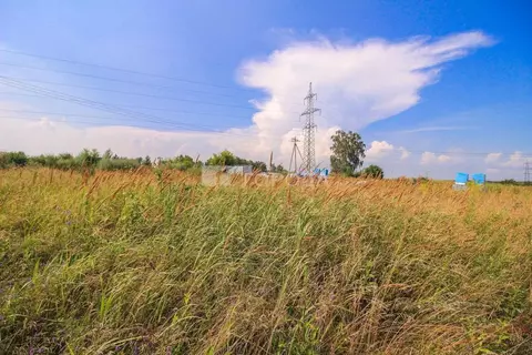 Участок в Алтайский край, Первомайский район, с. Санниково, Овощевод ...