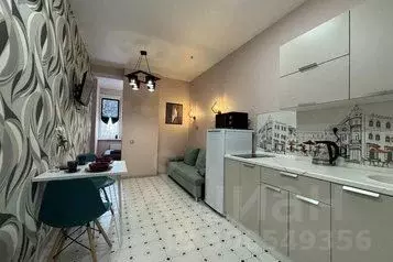 1-к кв. Нижегородская область, Нижний Новгород Сенная пл., 1 (24.0 м)