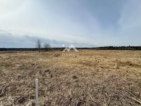 Участок в Вологодская область, пос. Надеево ул. Центральная (15.0 ...