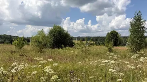 Участок в Московская область, Серпухов городской округ, д. Каргашино ...
