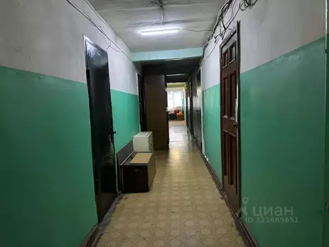 Студия Новгородская область, Великий Новгород Район Софийская сторона, ...