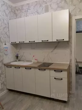 Студия Адыгея, Майкоп ул. К.А. Васильева, 1к3 (21.0 м)