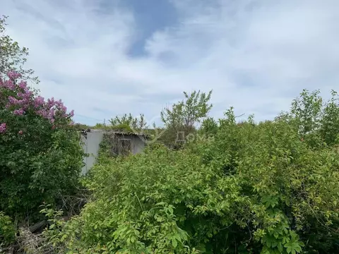 Участок в Волгоградская область, Волгоград Мичуринец СНТ, № 5 массив,  ...