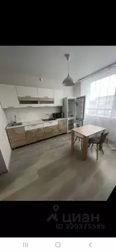 Студия Белгородская область, Белгород ул. Попова, 31 (36.0 м)