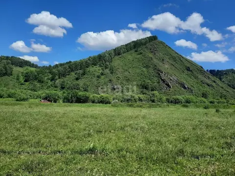 Участок в Алтайский край, Алтайский район, с. Куяган  (480.0 сот.)