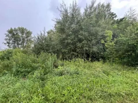 Участок в Московская область, Коломна городской округ, с. Клишино  ...