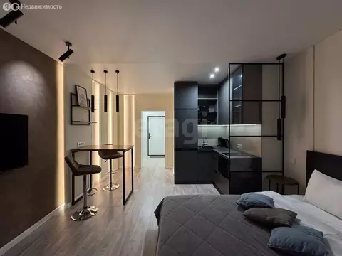 Квартира-студия: Самара, Ново-Садовая улица, 106Гк1 (27.4 м)