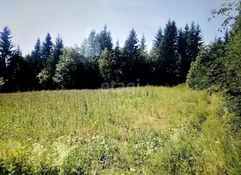 Участок в Пермский край, Добрянка пос. Лесников,  (12.0 сот.)