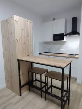 Студия Санкт-Петербург просп. Крузенштерна, 4 (22.2 м)