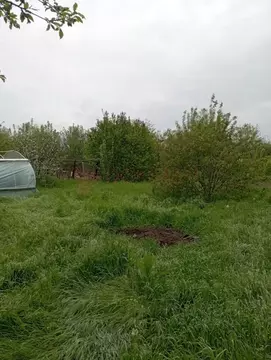 Участок в Пермский край, Пермский район, ЗаГорный кв-л ул. 8-я Линия, ...