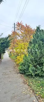 Дом в Рязанская область, Рязань ул. Коняева, 90 (59 м)