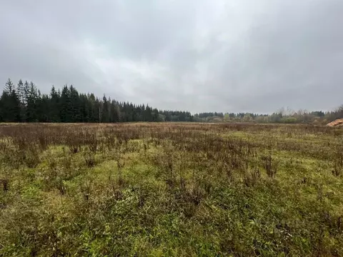 Участок в Тверская область, Кувшиновский муниципальный округ, с. ...