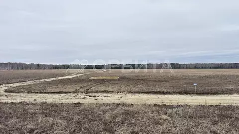 Участок в Тюменская область, Тюменский муниципальный округ, с. Кулига ...
