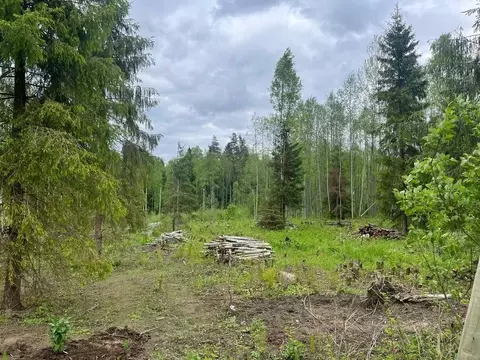 Участок в Ленинградская область, Приозерский район, Ромашкинское с/пос ...