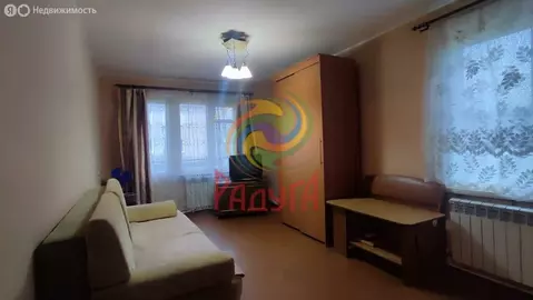 1-комнатная квартира: Ново-Талицы, Совхозная улица, 2 (37.6 м)