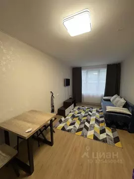 1-к кв. Санкт-Петербург наб. Черной речки, 3к2 (35.0 м)