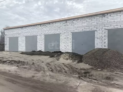 Гараж в Брянская область, Брянский район, Снежское с/пос, пос. Путевка ...