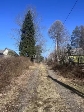 Участок в Ленинградская область, Всеволожский район, Куйвозовское ...