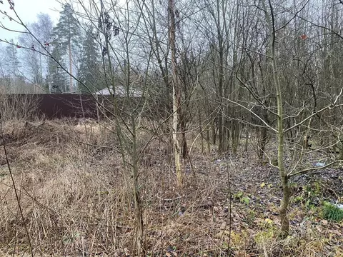 Участок в Московская область, Лосино-Петровский городской округ, д. ...