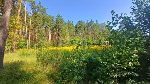 Участок в Брянская область, Брянский район, Свенское с/пос, пос. ...