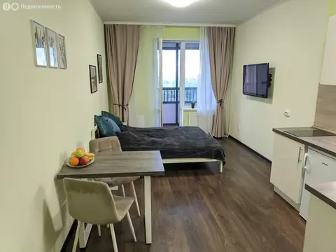 Квартира-студия: Санкт-Петербург, Светлановский проспект, 8 (24.6 м)
