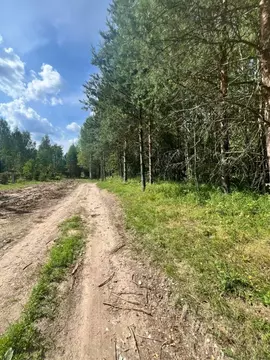 Участок в Владимирская область, Киржачский муниципальный округ, д. ...
