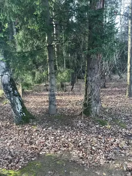 Участок в Московская область, Одинцовский городской округ, Лесной ...