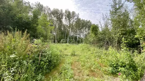 Участок в Смоленская область, Смоленск проезд 5-й Досуговский, 5 (8.0 ...